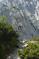 2014-08-02_06FritzPflaum-Steig (213).JPG